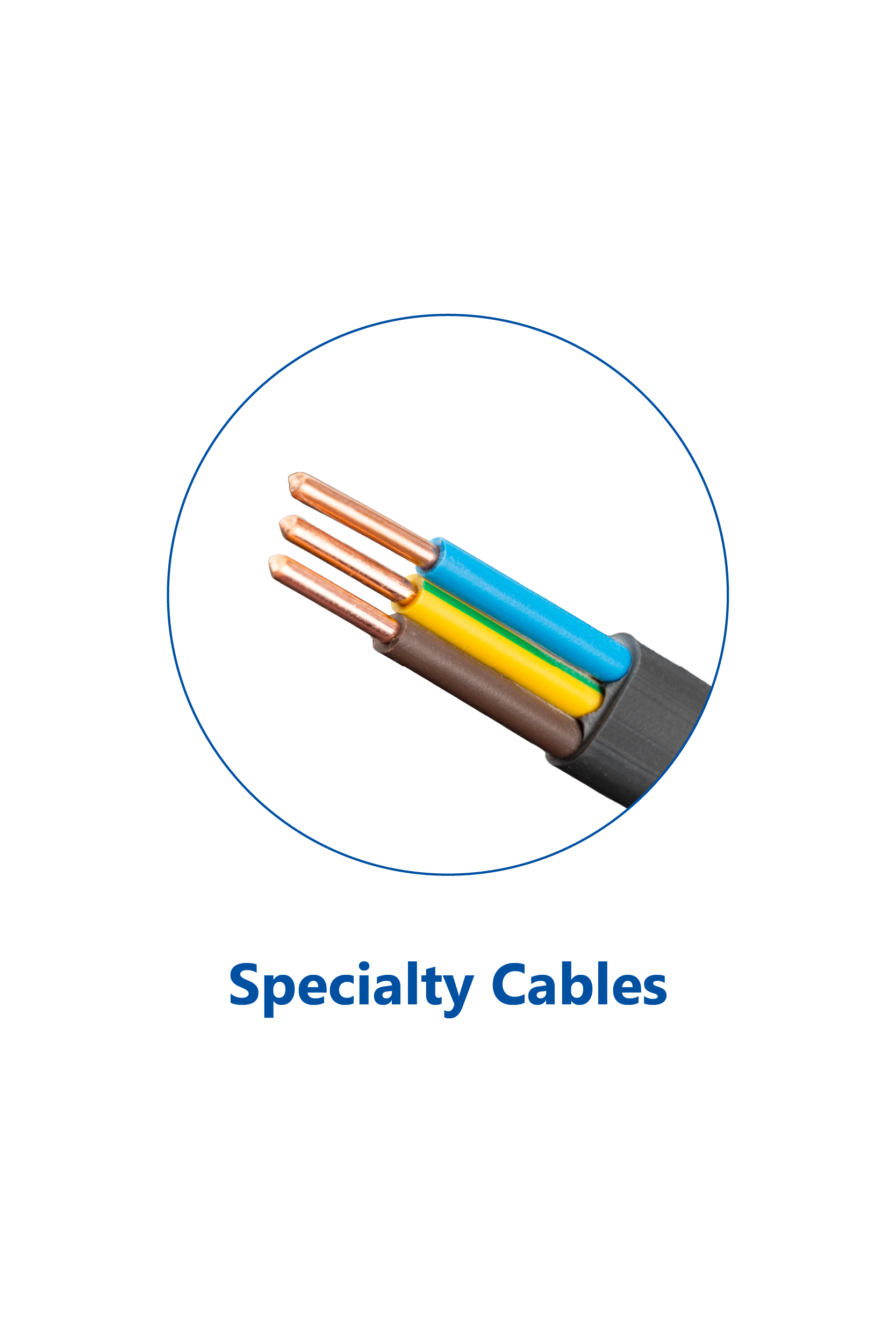 Specialty Cables